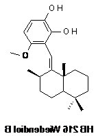 Wiedendiol B