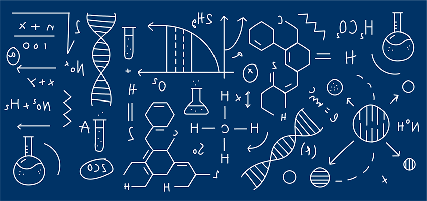 Genetics Research Focus Group