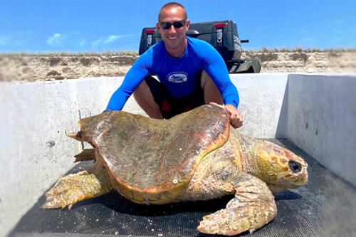 Alumni Spotlight: Sea Turtle Scientist Jeff Guertin